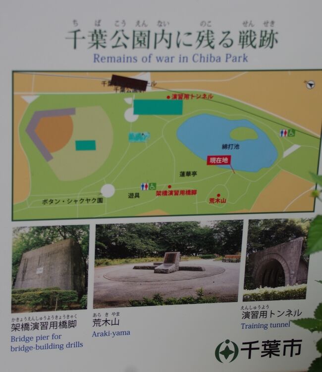 IMGP8074