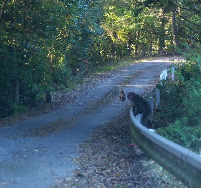 ����2010.11.10 315