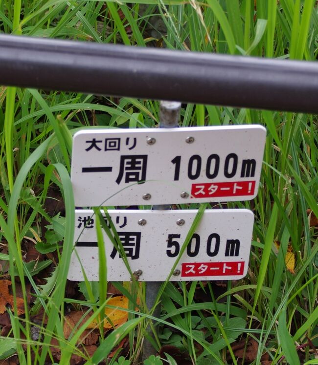 IMGP8354