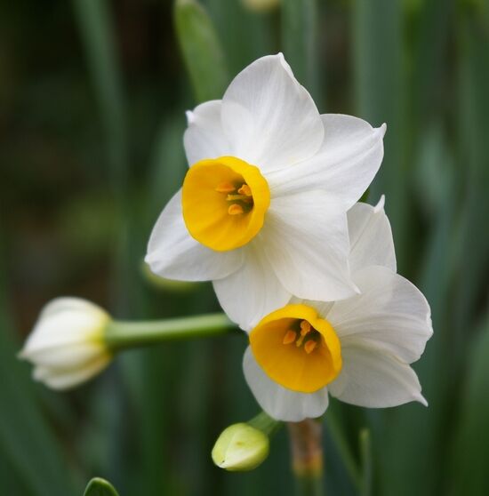 ����12.22 015