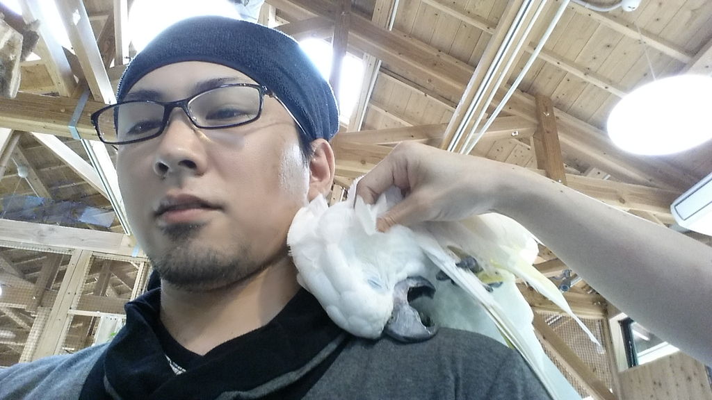 軸受けに５２０ボールベアリング ミニ四駆人生コースアウト