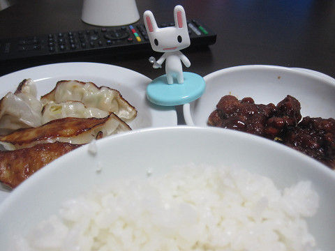 resize0776