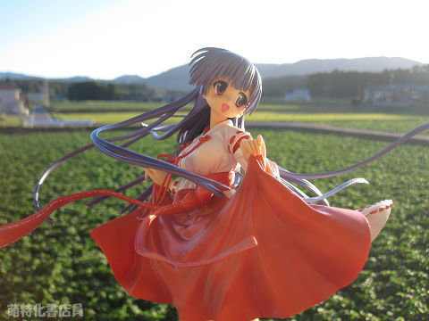 resize10576