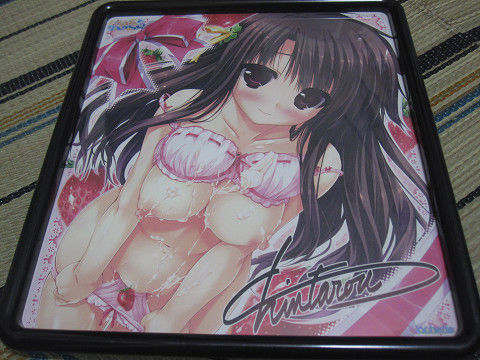 resize0243