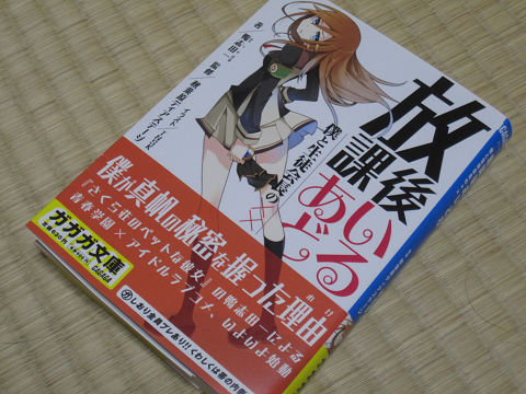 resize10408