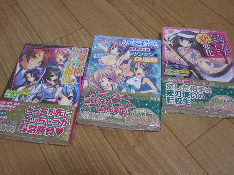 resize0374