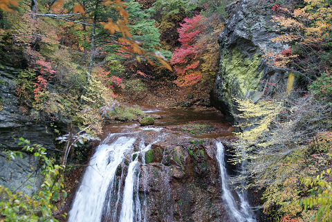 resize10200