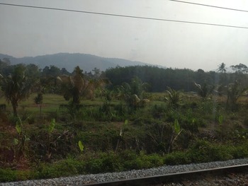 developped land along the train track