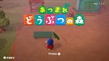 初の雨の日です!