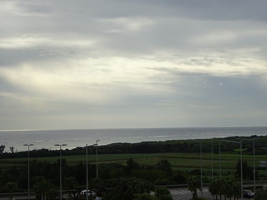 DSC00849