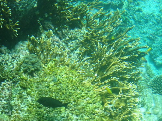 DSC00479