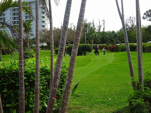 DSC02807
