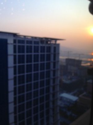 IMG_3290