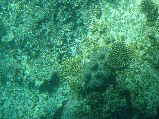 DSC00509