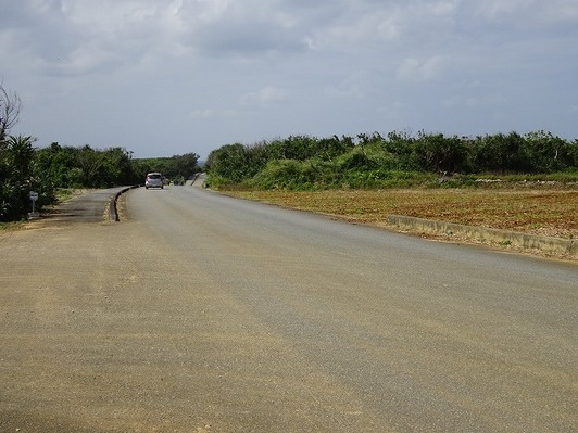 DSC08725