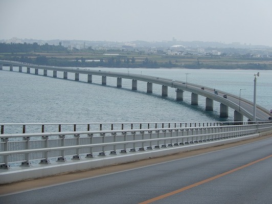 DSCN6531
