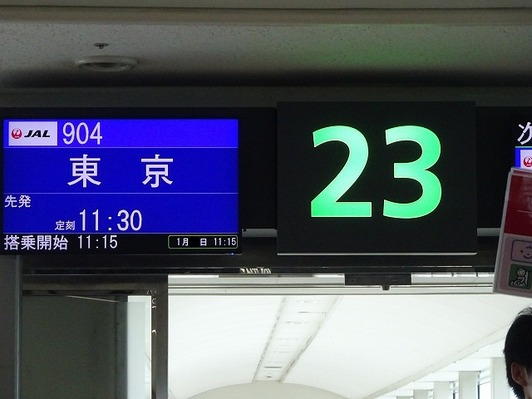 20191JAL9034t2