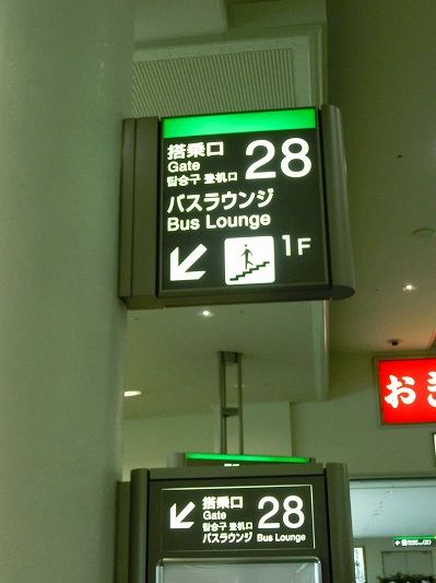 CIMG8971