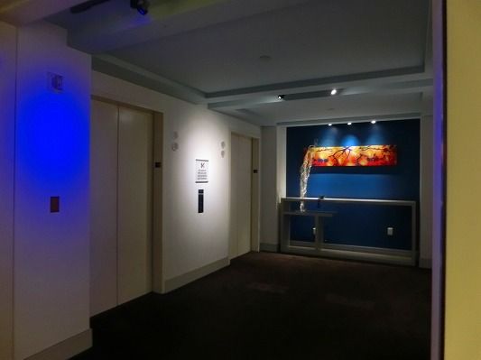 CIMG0506