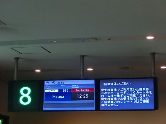 CIMG1185