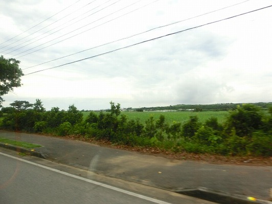 CIMG0059