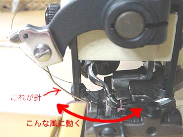 すくいミシンがやってきた : 猫背日記