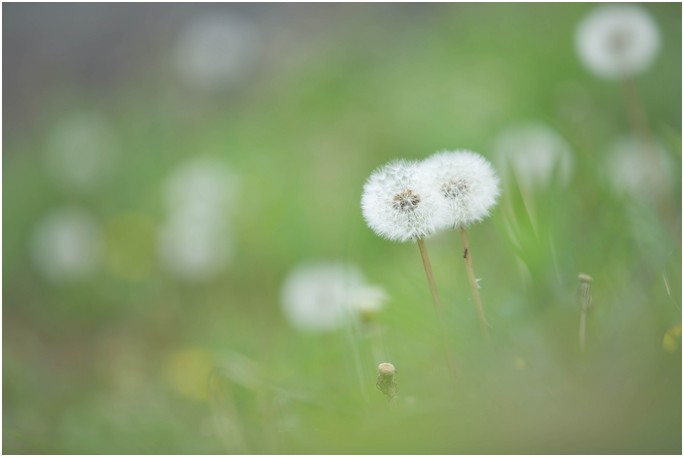 032愛は風まかせ