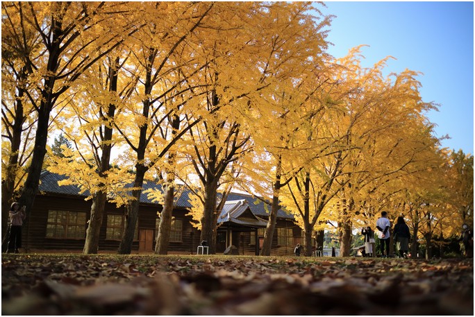 034寂しさは秋の色