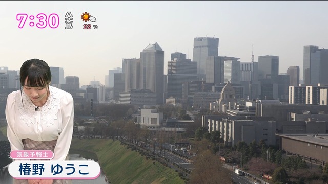 2503659211461