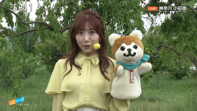 黒田菜月アナ、透けブラウス黄おっぱいデッカ！なんちゅうYCしとるんや