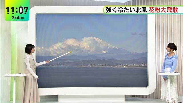 26030323484363681 (2)