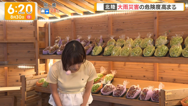 今井春花アナ、生意気な透け感おっぱいだよな！ボインやんかタマランち