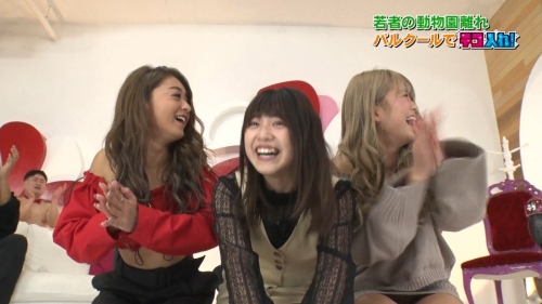 83fe573d.jpg