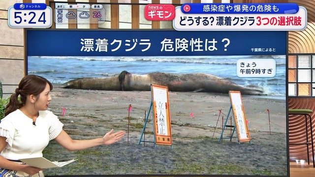 三山賀子アナ、白ニットおっぱいお辞儀したら乳房の影がエッチ過ぎ