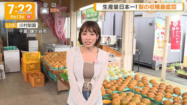 今井春花アナ、ニットおっぱい縛りプレイでプルプル揺れ過ぎ最高!