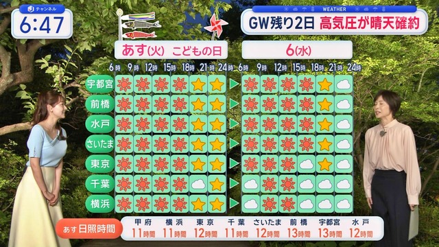 8136733218