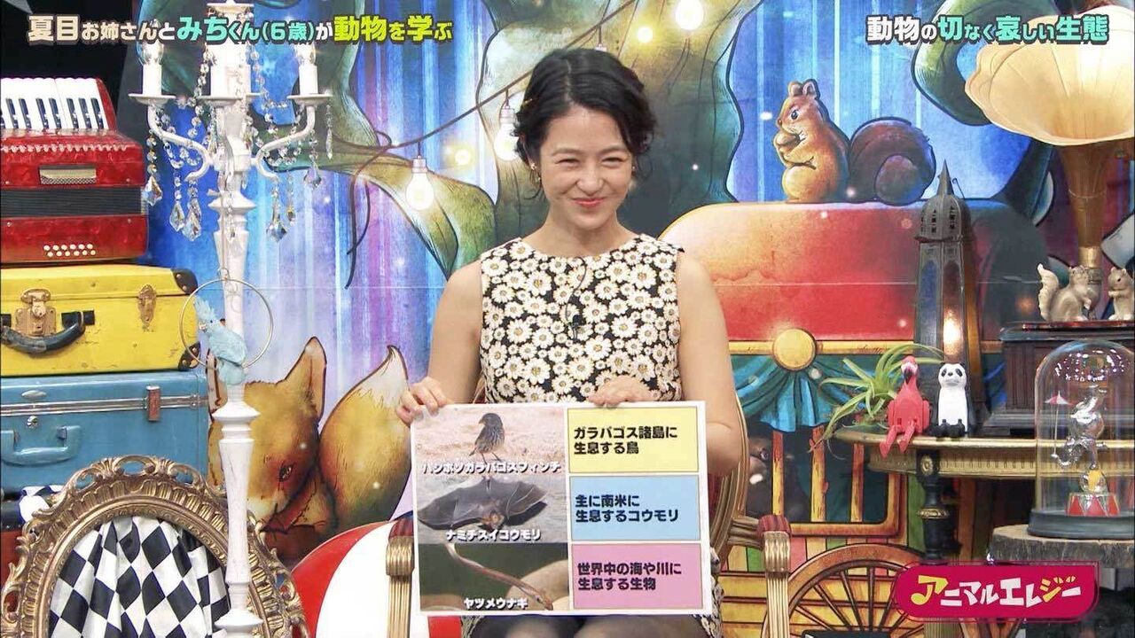 夏目三久アナ パンチラ 黒色パンストから透けて見えるイヤらしい股間 アイドル 女子アナ画像 吟じます