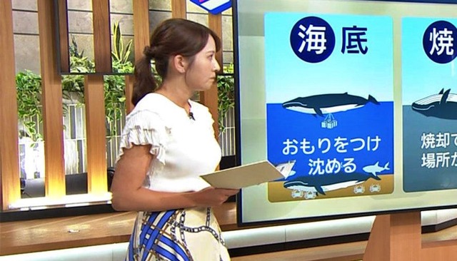 三山賀子アナ、白ニットおっぱいお辞儀したら乳房の影がエッチ過ぎ