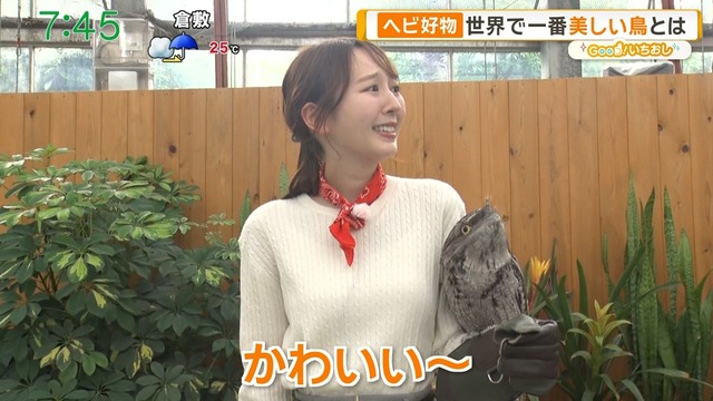 佐々木若葉アナ、細身ニットおっぱいエッロ!左の膨らみのカタチが