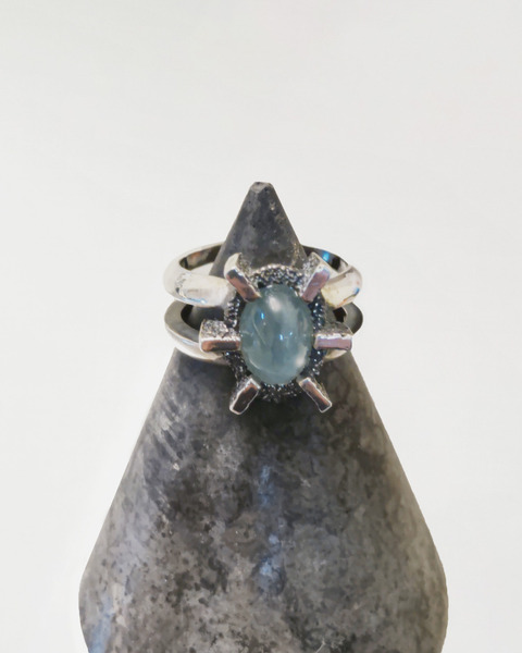 ring01