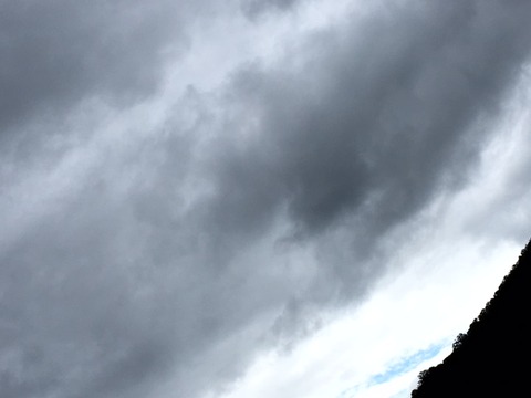IMG_1844