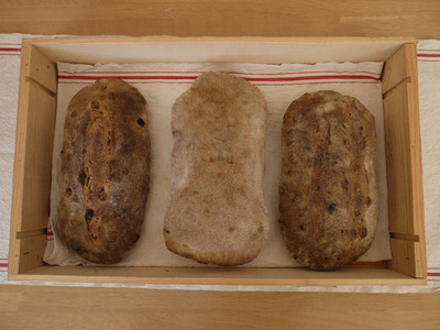 panezza_size