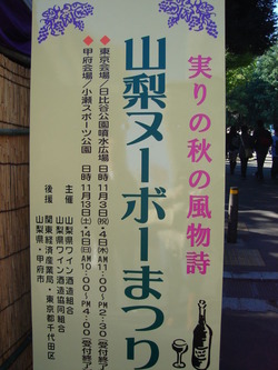 shinshumaturi1