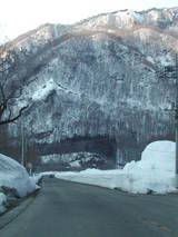 �㻳�����