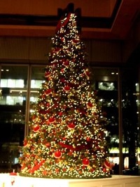 クリスマス 037 web
