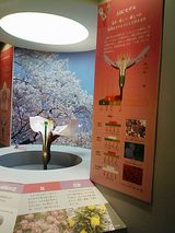 FLOWER_Ÿ
