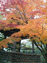 DSCF0522