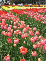 ���ȡ����塼��å�