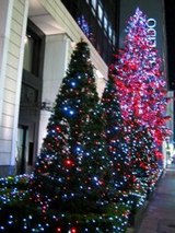 ロオジェクリスマスツリー