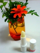 ͭ��Į���� ��������� ��åץ��꡼��2